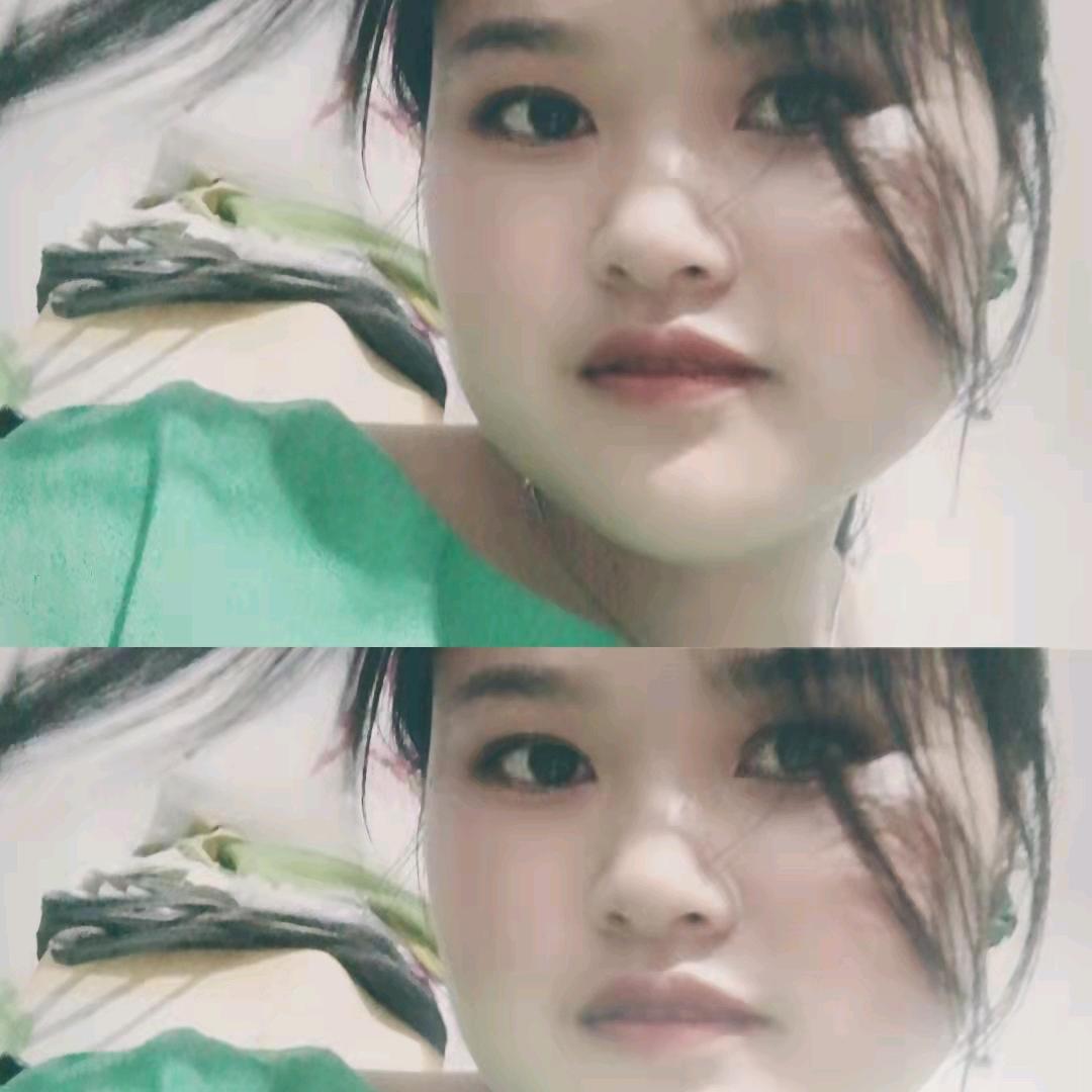 小芙蝶