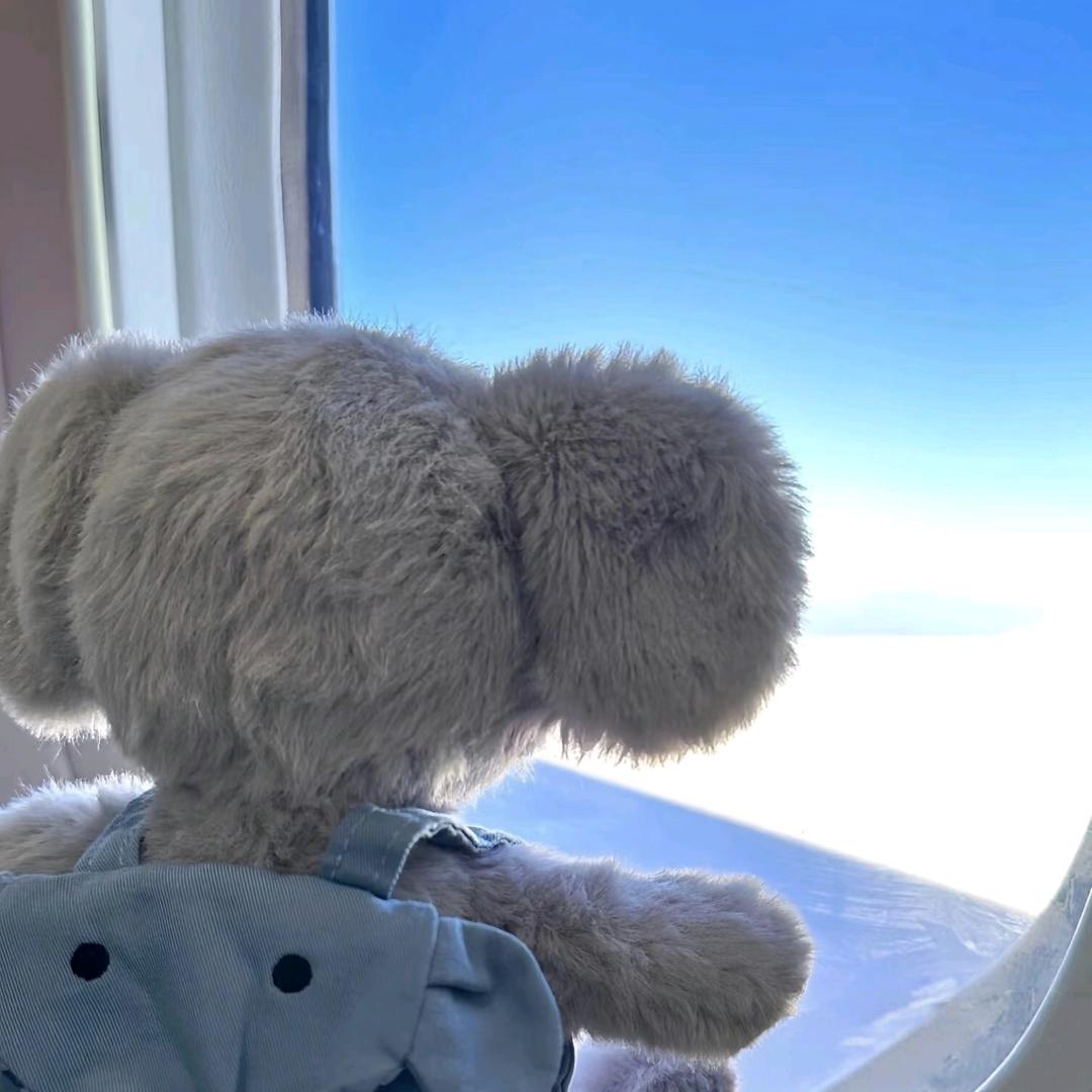 ❤️💛💚💙💜