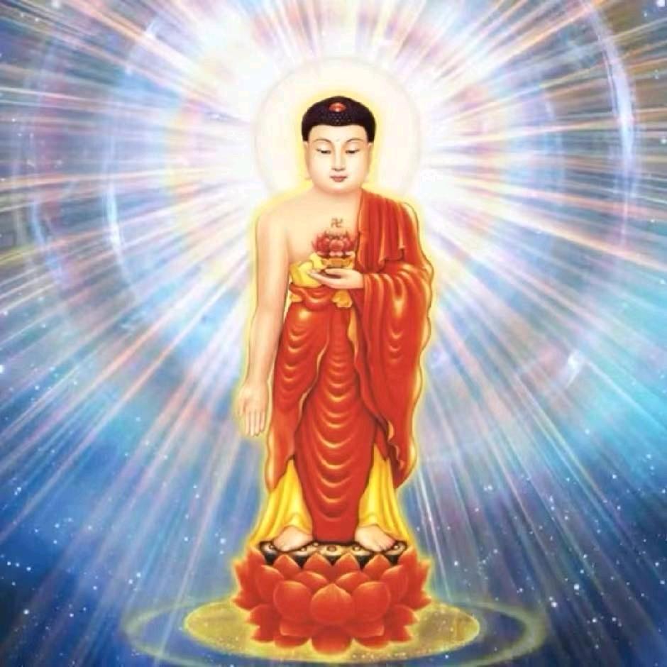 信愿→四十八愿力→往生