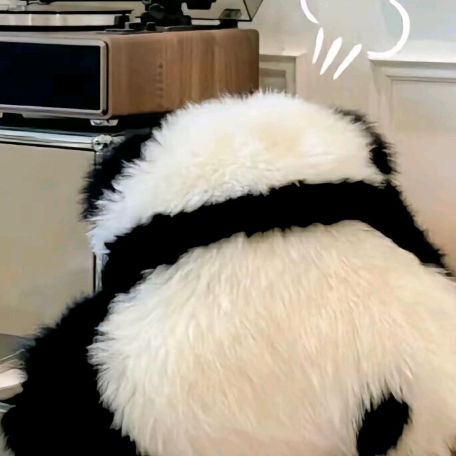 超级飞夏
