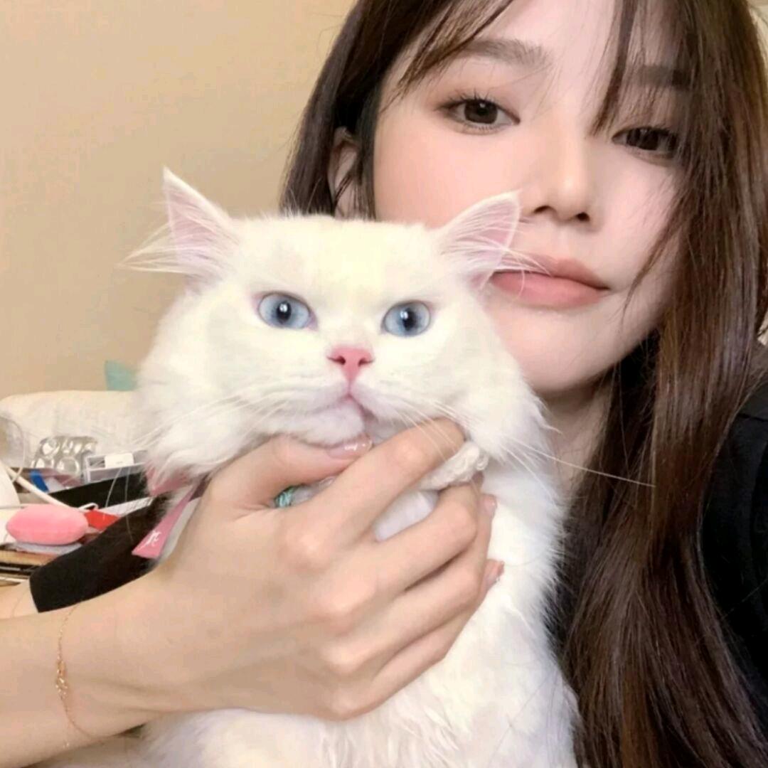 yy