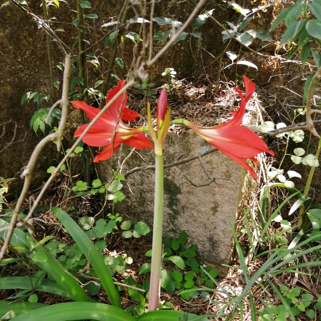 用户816070顺其自然