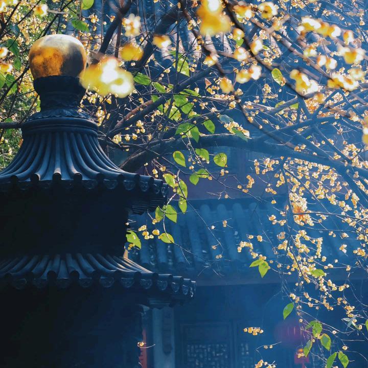 福慧双增