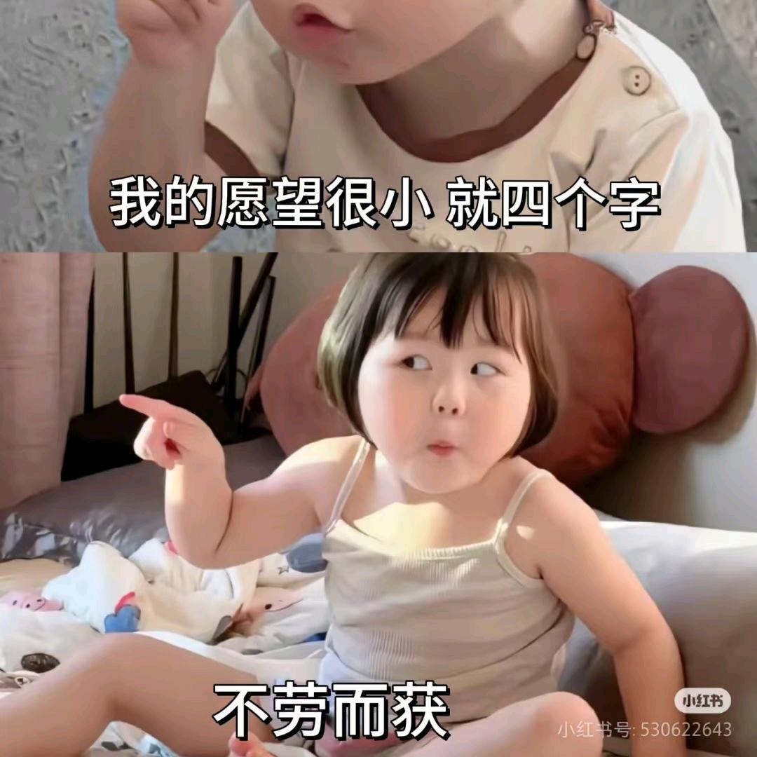 温柔的小野猫🐈🐈🐈