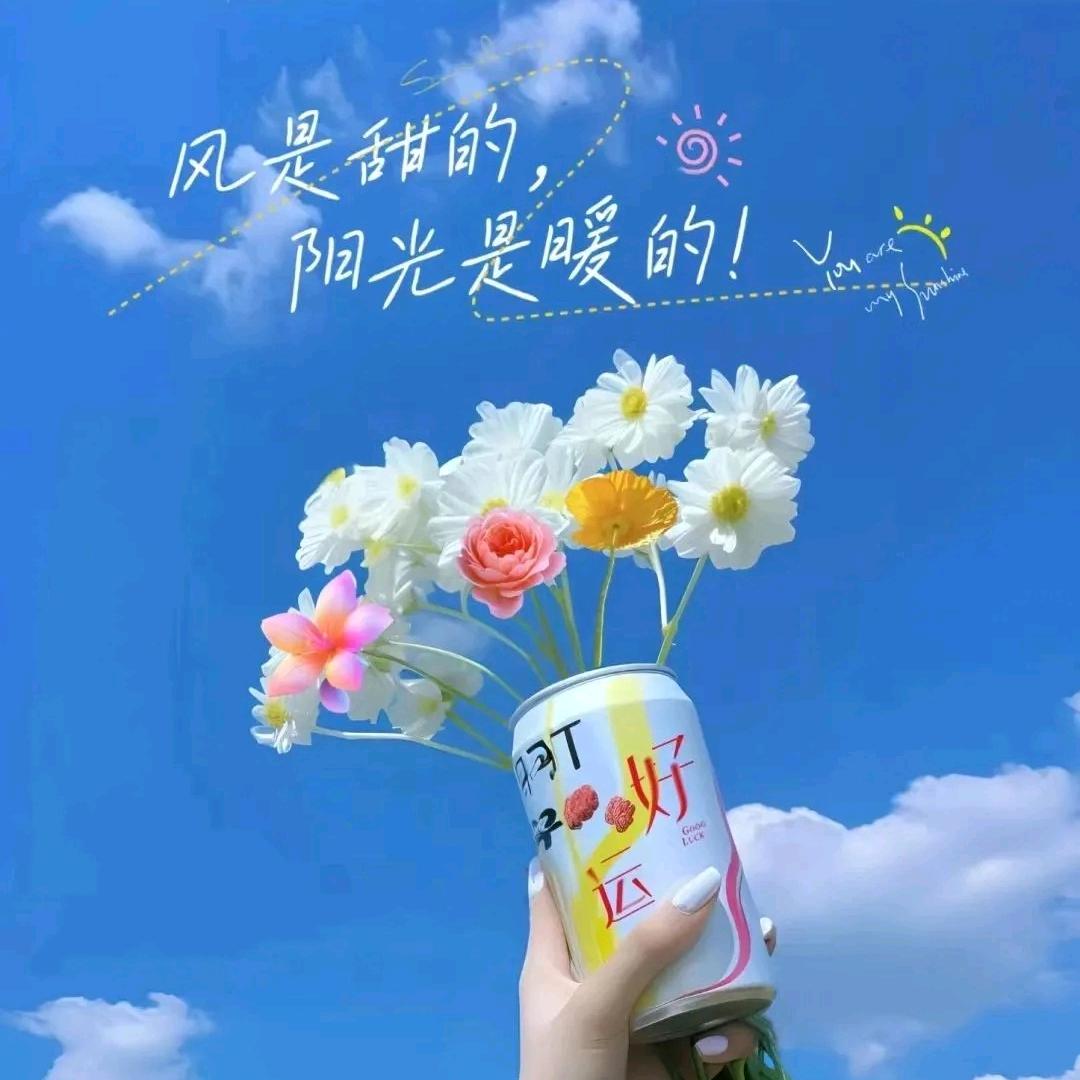 子美吖