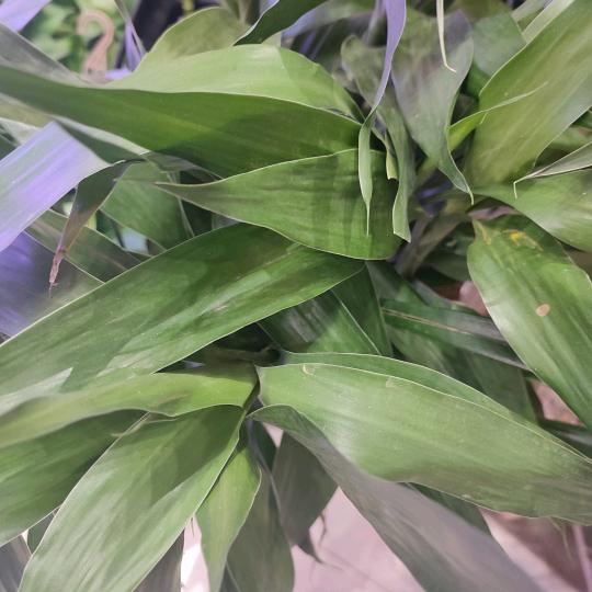 雨后彩虹