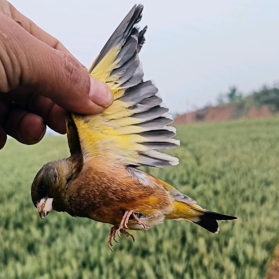 彭鹏友😎😇 ⌓‿⌓