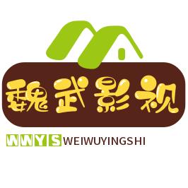 魏武影视