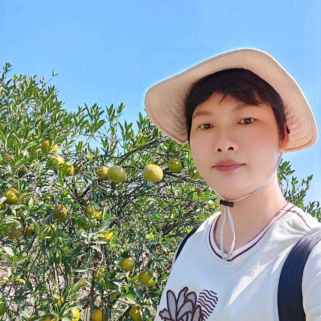 惠姐滋补