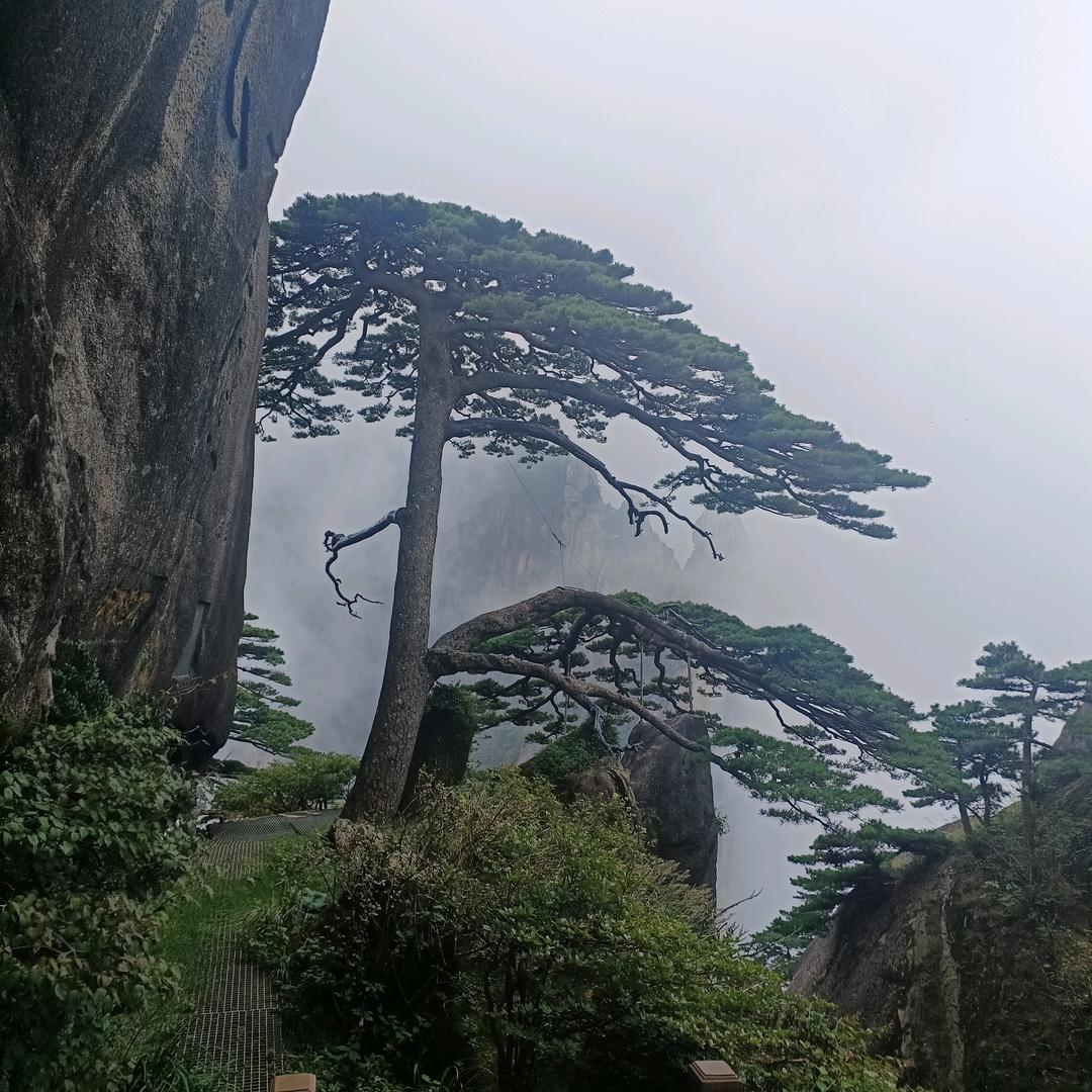 幸好遇见你。