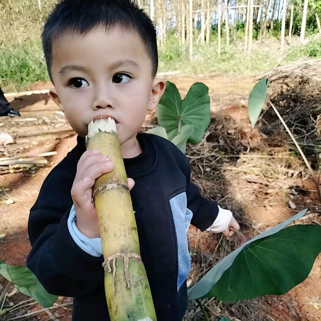 宝贝.