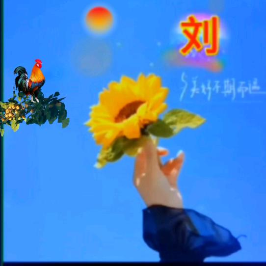 丁冬