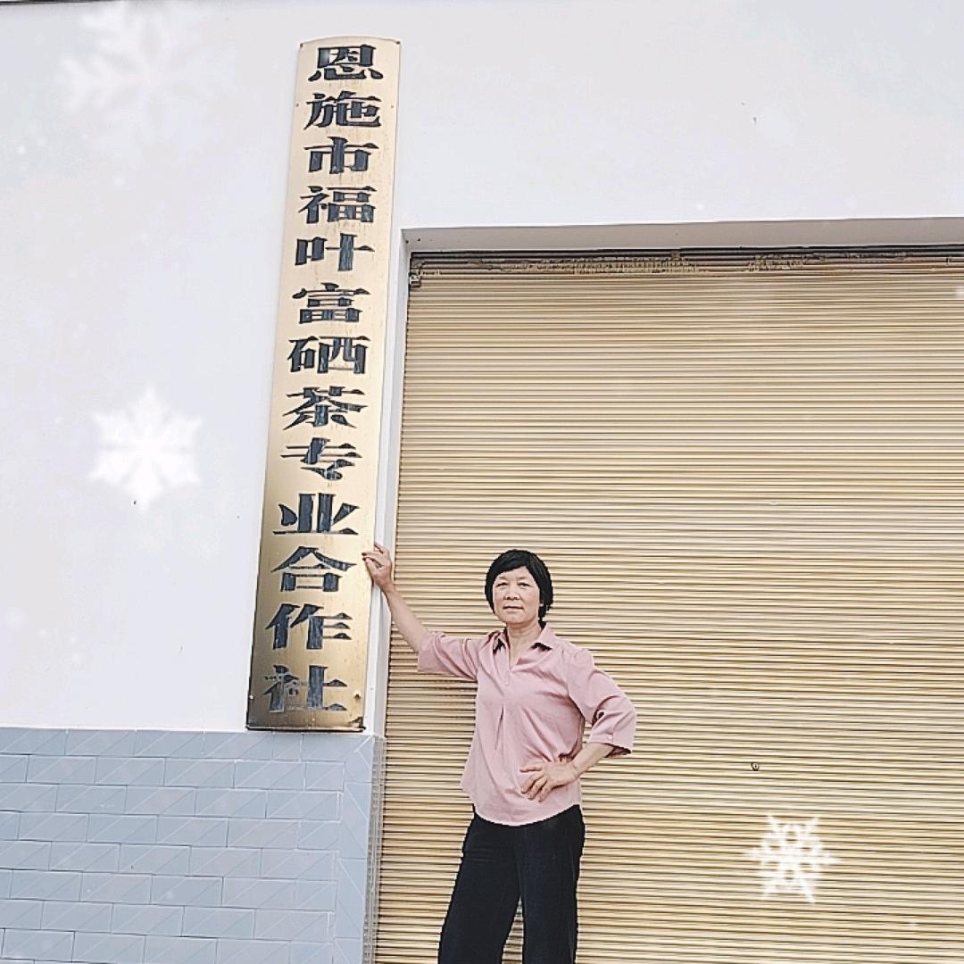 沙地福叶富硒茶