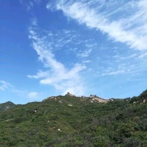 山东@赵哥
