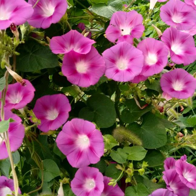 封心❤️锁爱，