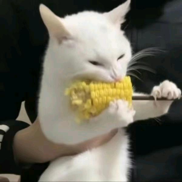 Oo美味薯条夹生面