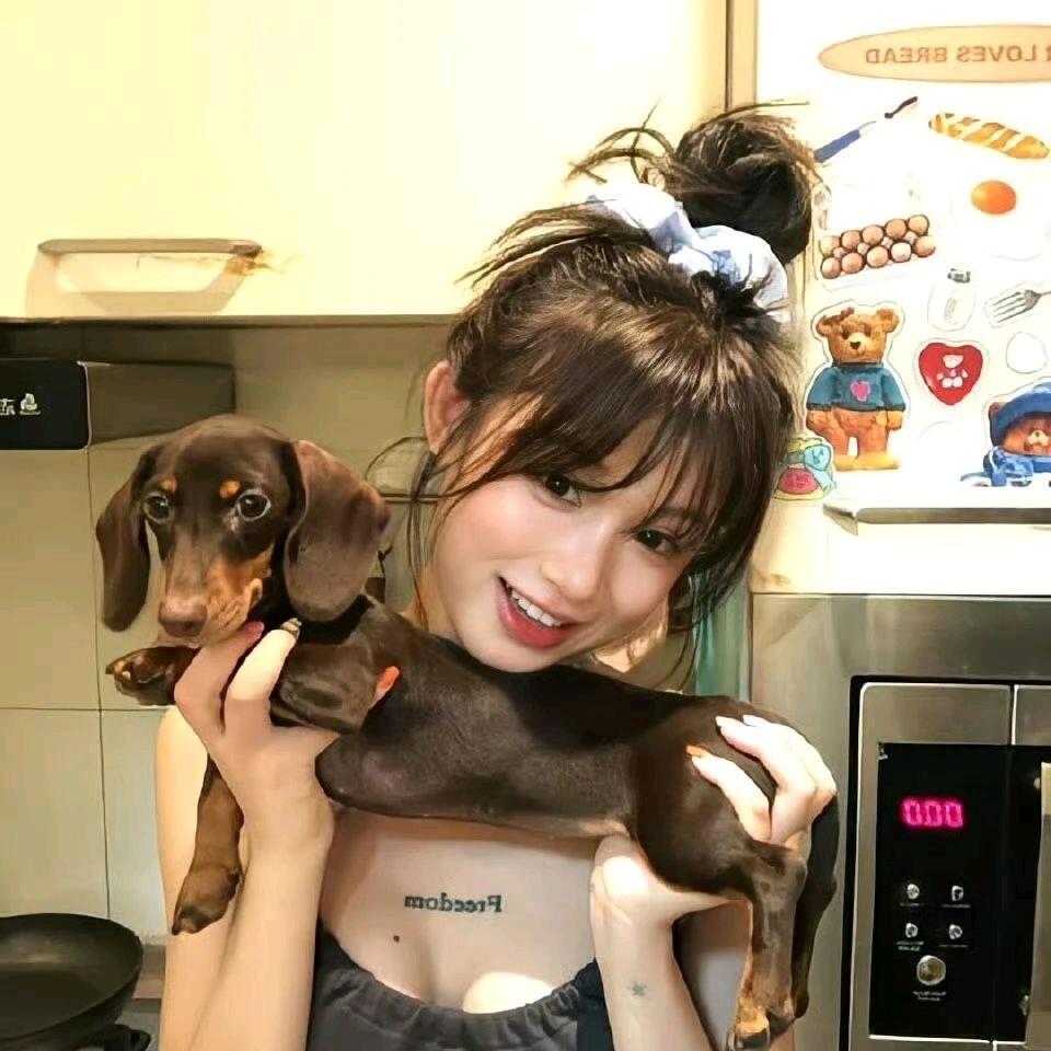 猫咪🐈乘凉