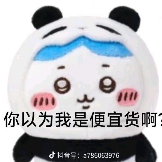 刺猬绷绷无敌了，哈哈哈