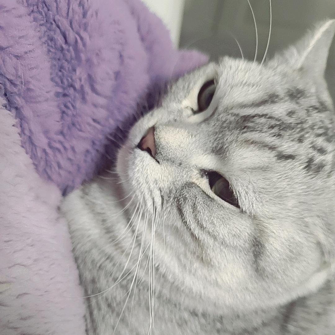 暴脾气