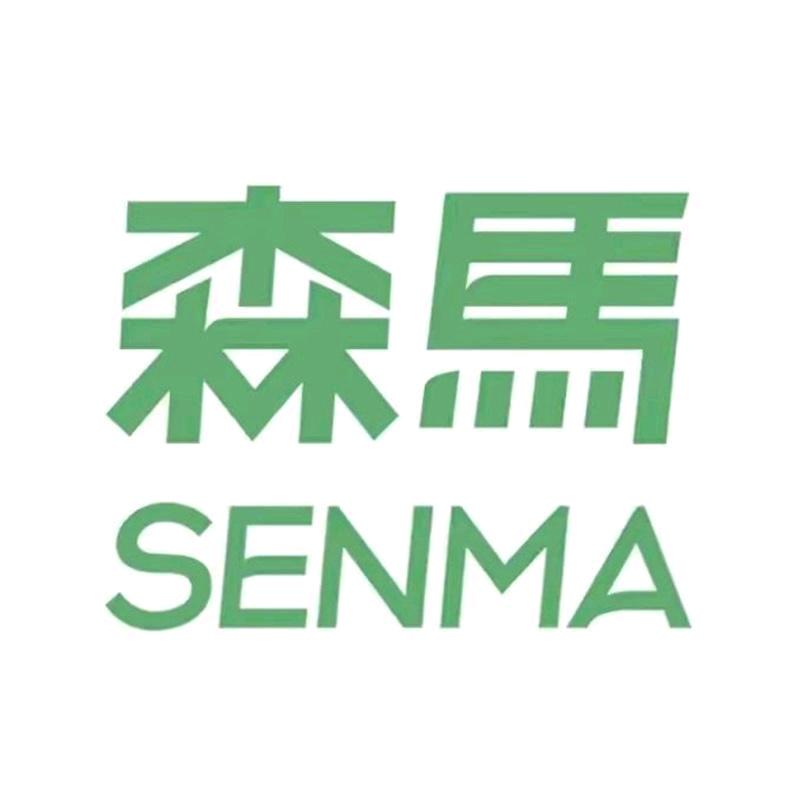 SENMA森马智聚鞋类专卖店