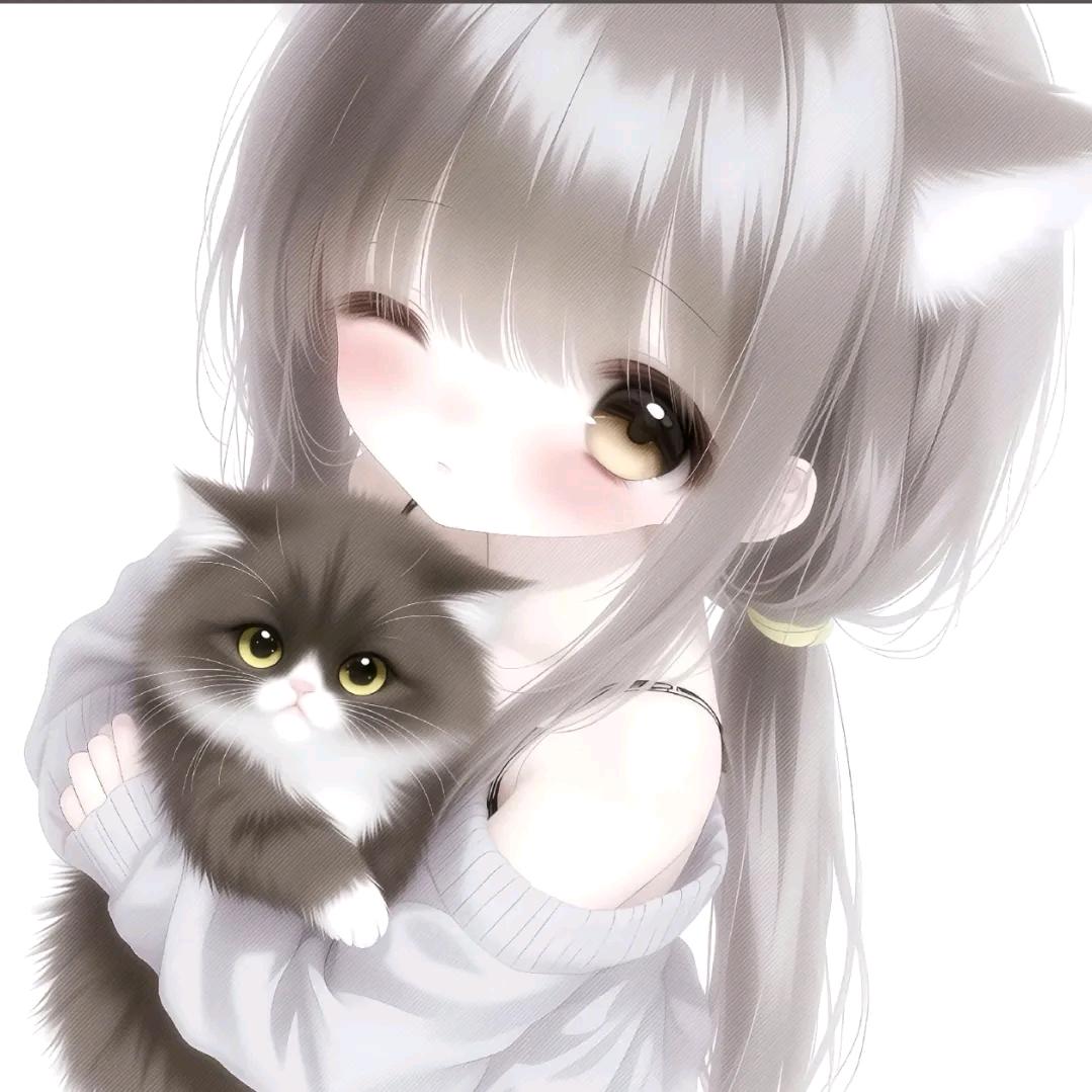 阮沅