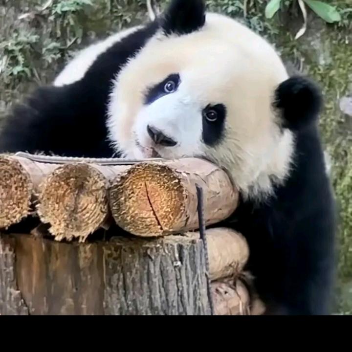 好日常在