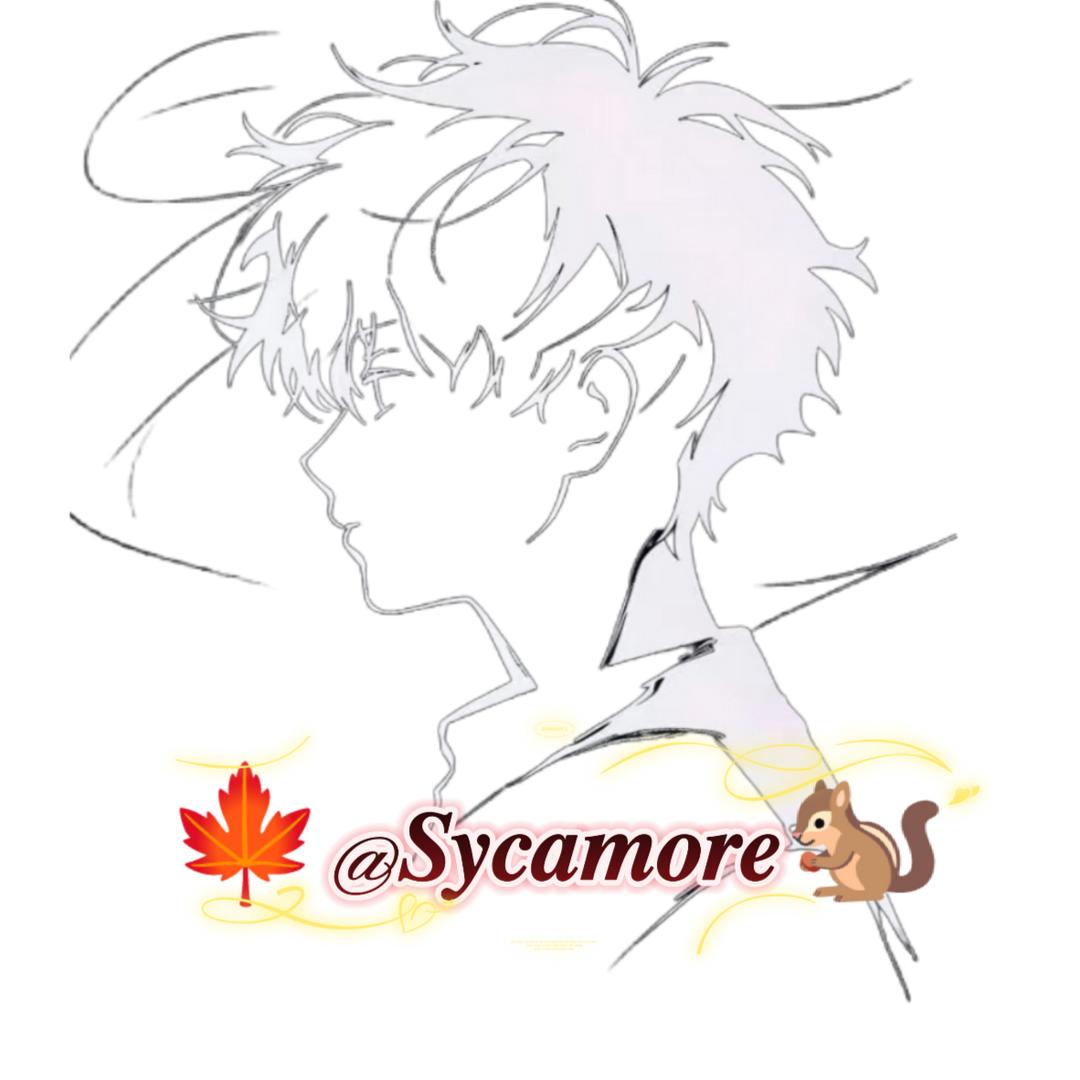 🍁Sycamore🐿