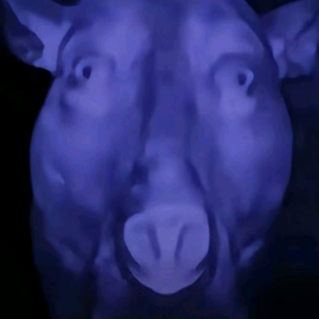 奥特之王