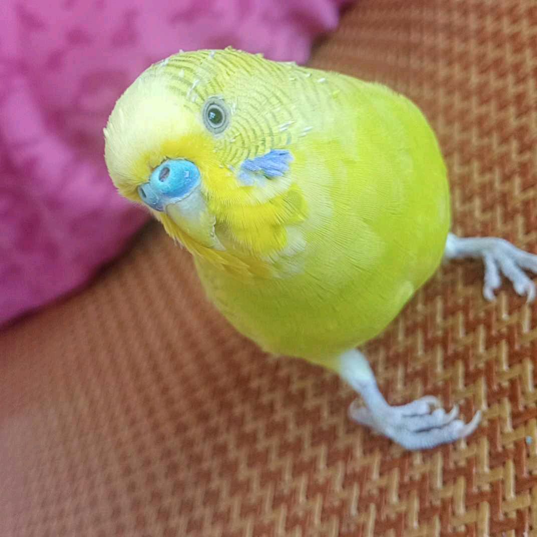 家和万事兴