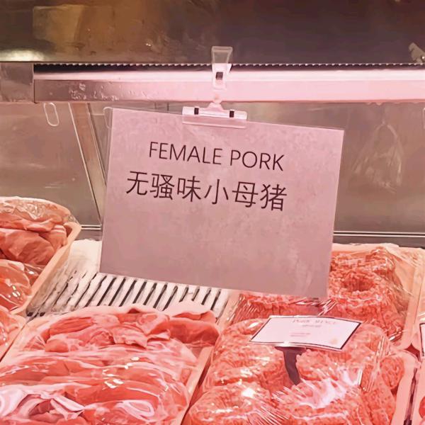 K老师