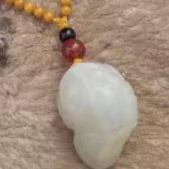 小葛做农业