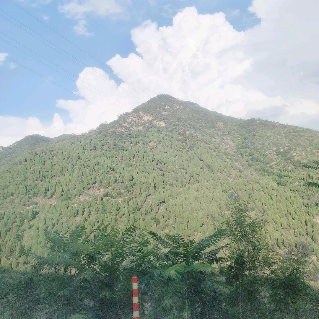 要。发发发。哒哒哒。哈哈