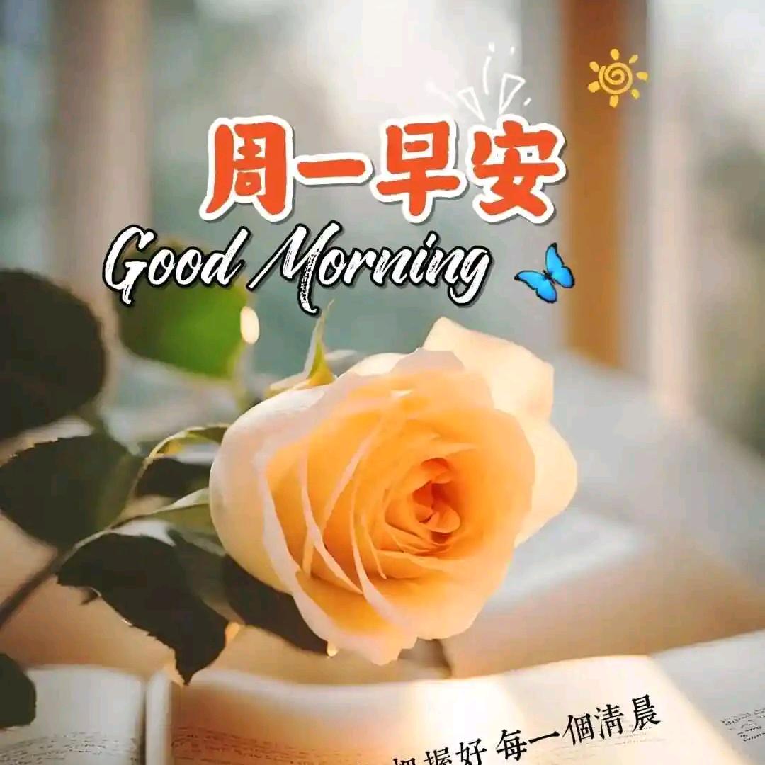 暮然回首全部是狗