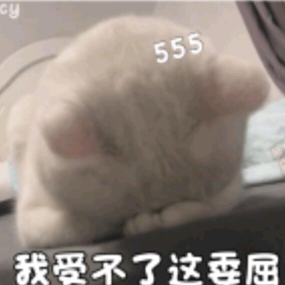 啵啵饱饱