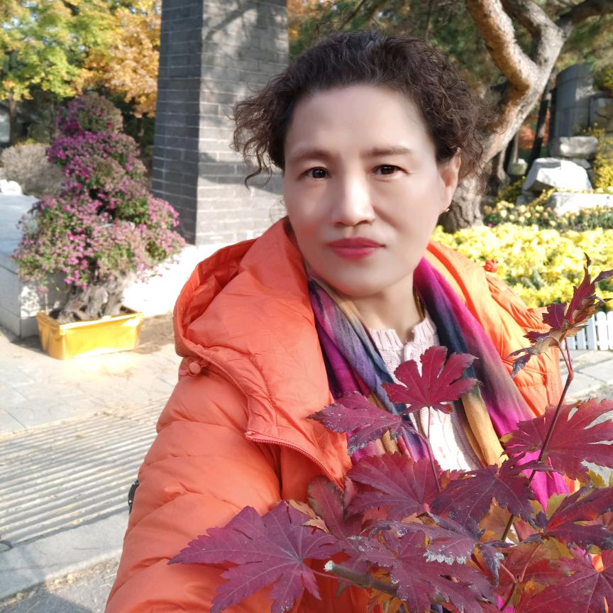 翱翔天空🌹🌹🌹