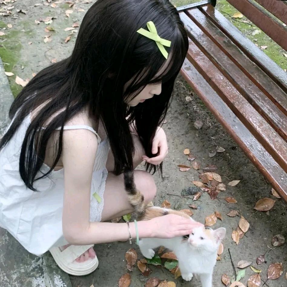 窝系小晨·ㅤㅤㅤㅤ