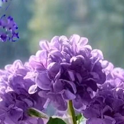 奉旨创业在路上