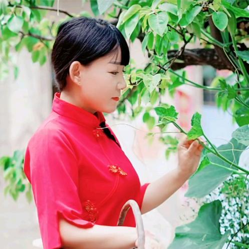 肖赞(新疆驼奶粉总代)9月12日新疆溯源