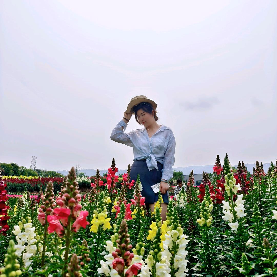 @慧（橱窗有好物）