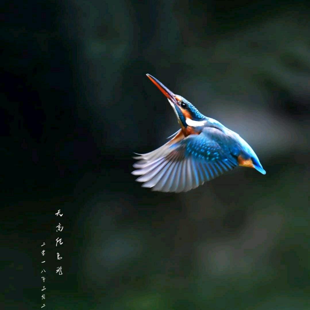 由甲申