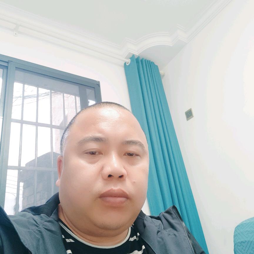 琴声月起