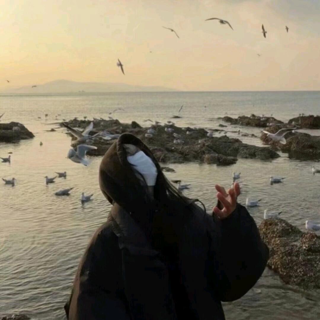 柒安