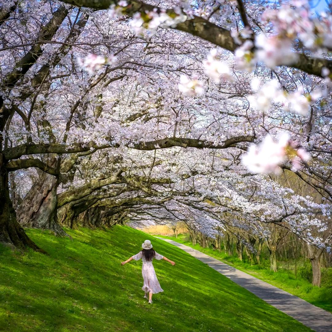 舟楫千里  炫迪