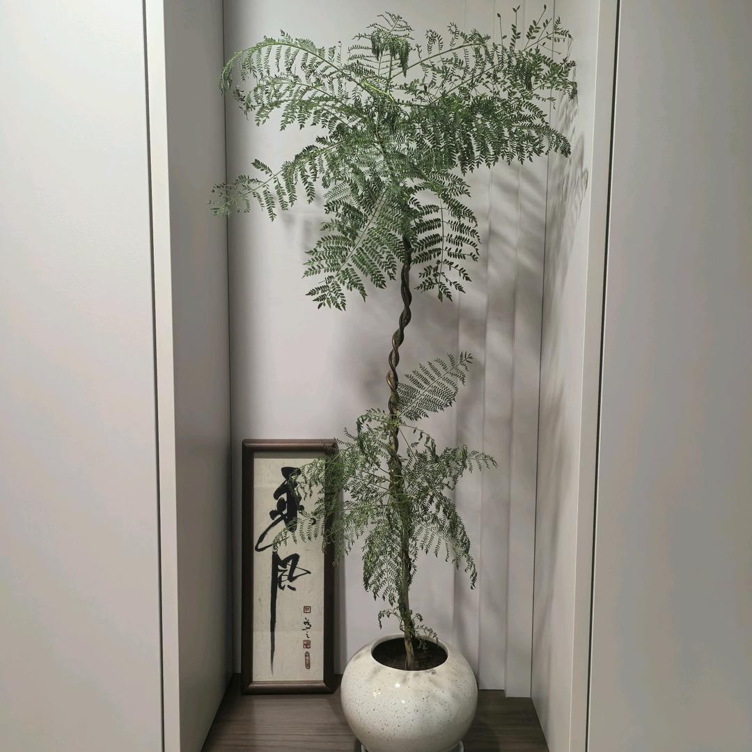 广佑装饰