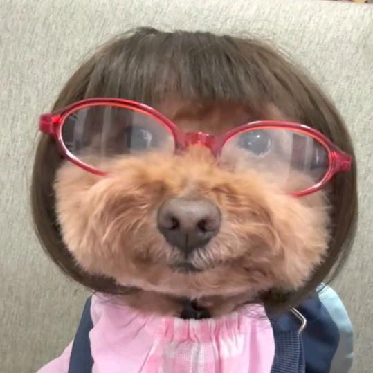 薯条真好吃