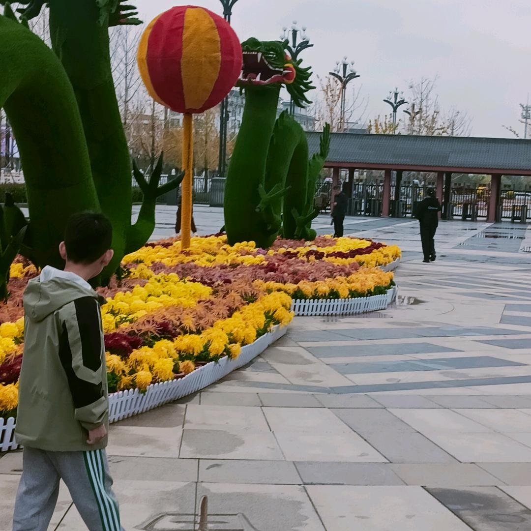 龍凤呈祥