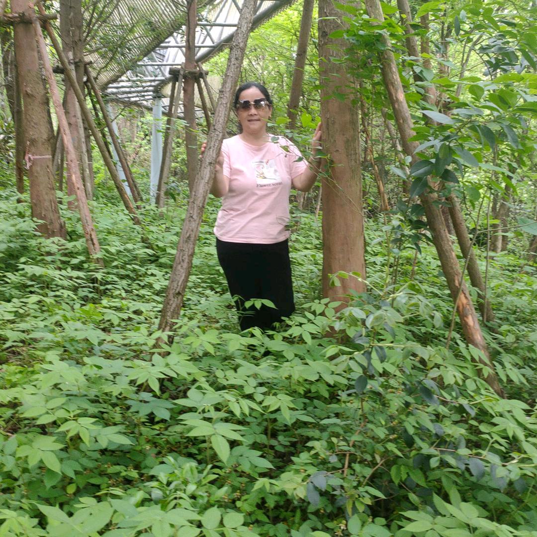 李春华