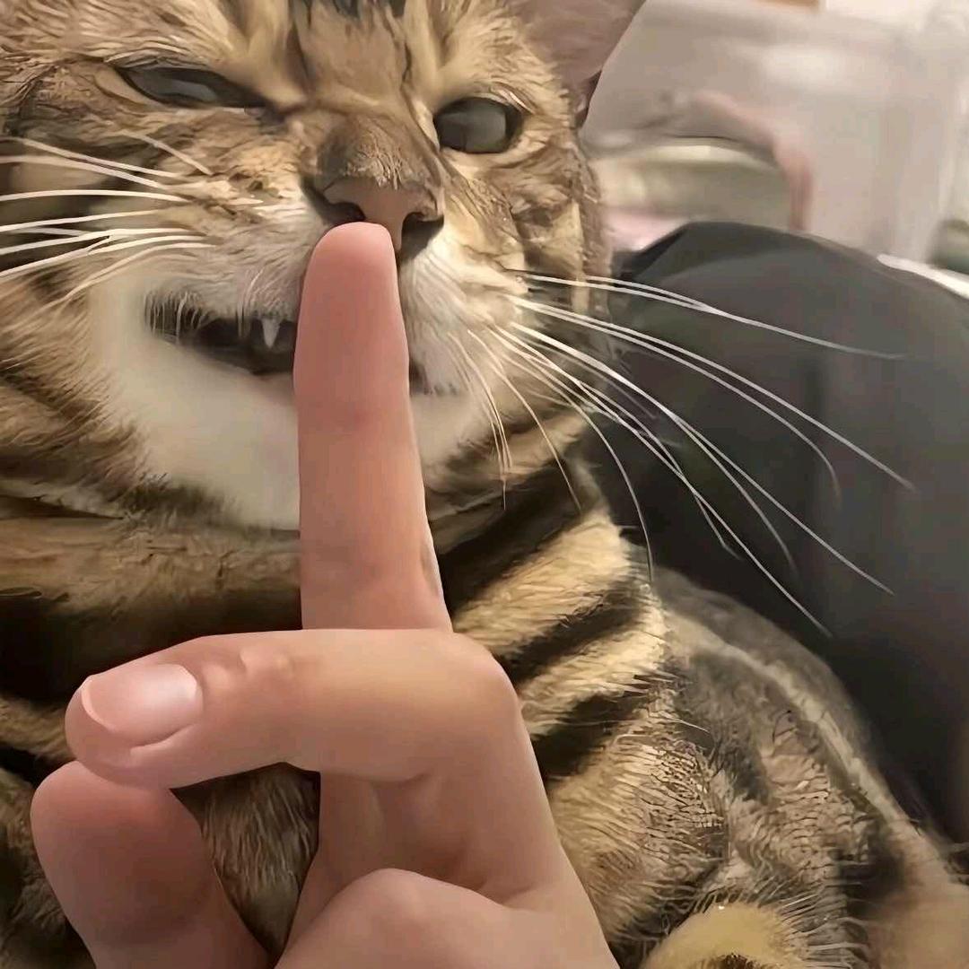 枷锁