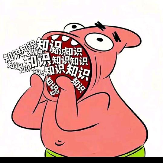 (´｡✪ω✪｡｀)