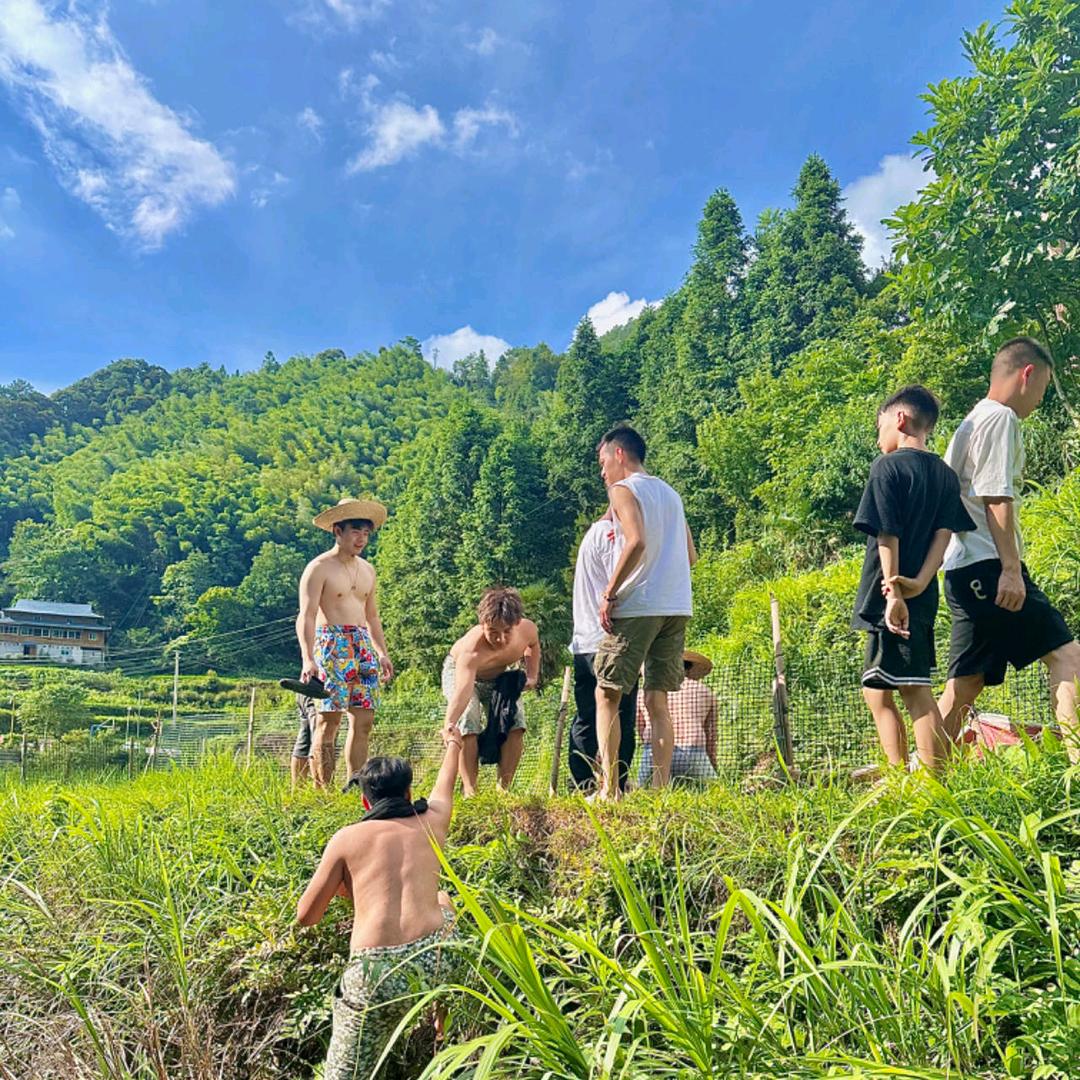 苗山土特产(阿顺助力乡村)